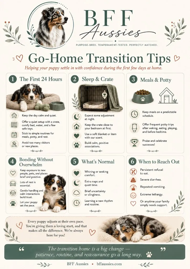 Go-Home Transition Tips