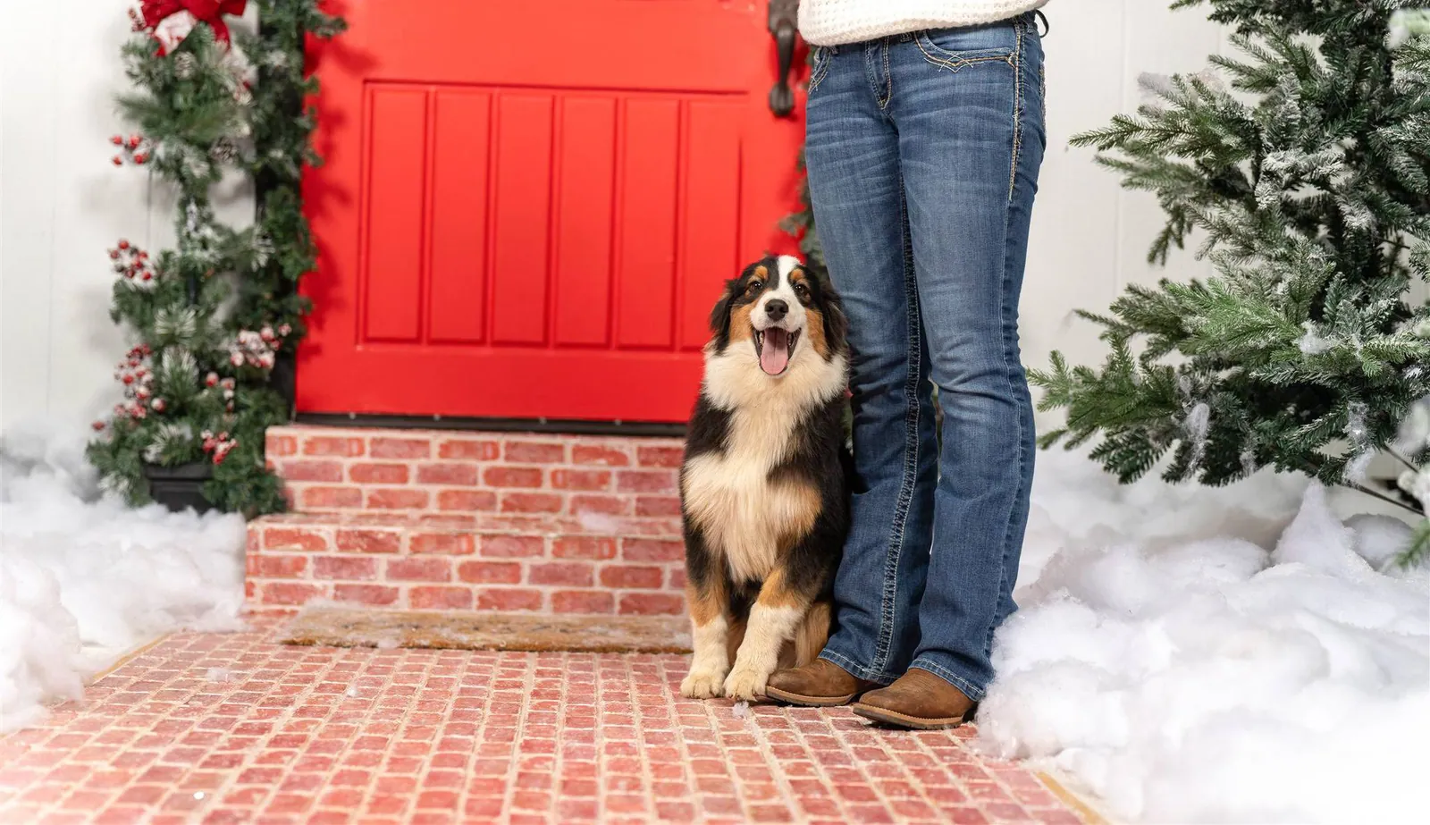 Knox — BFF Aussies