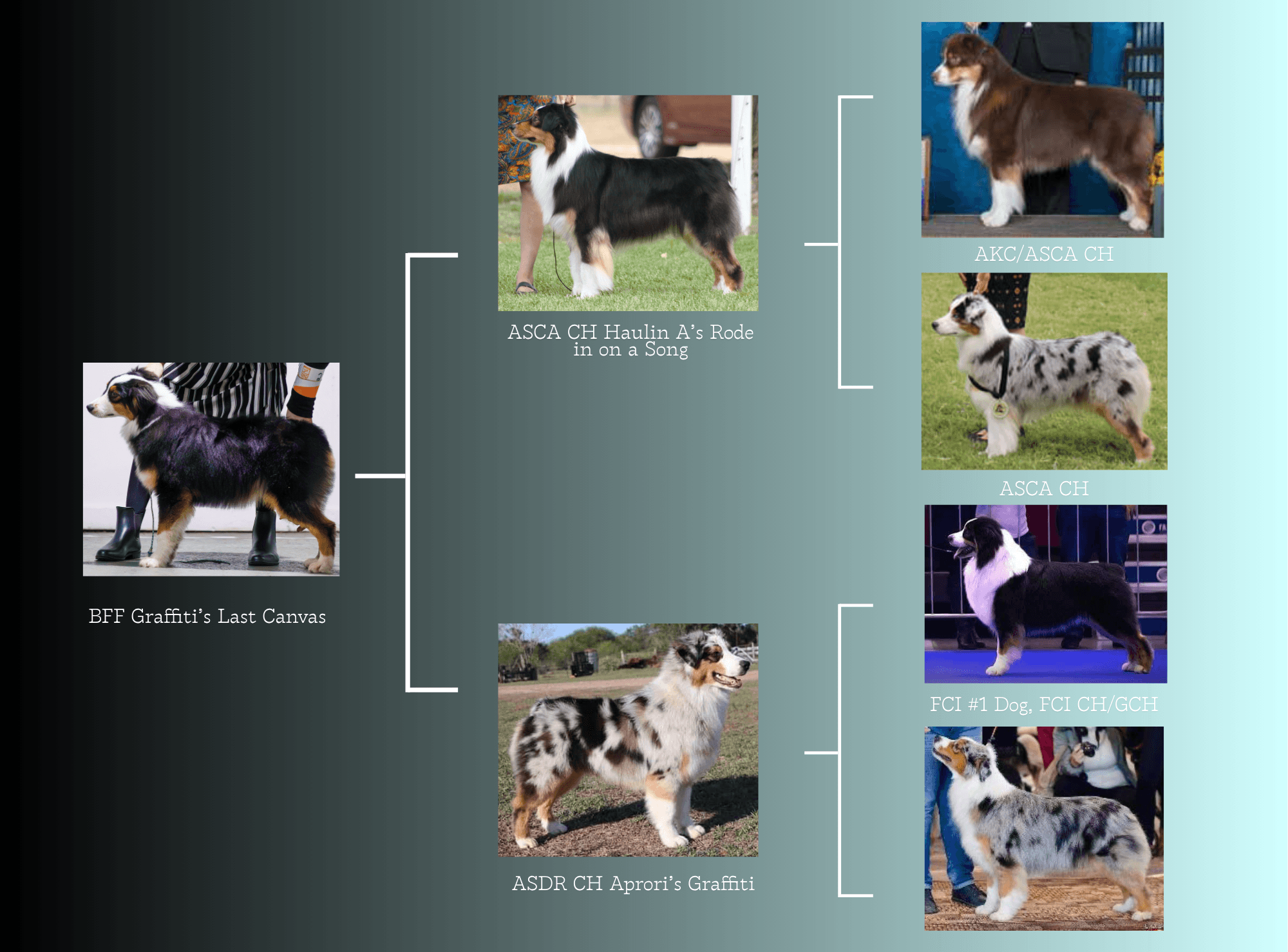 Knox's visual pedigree