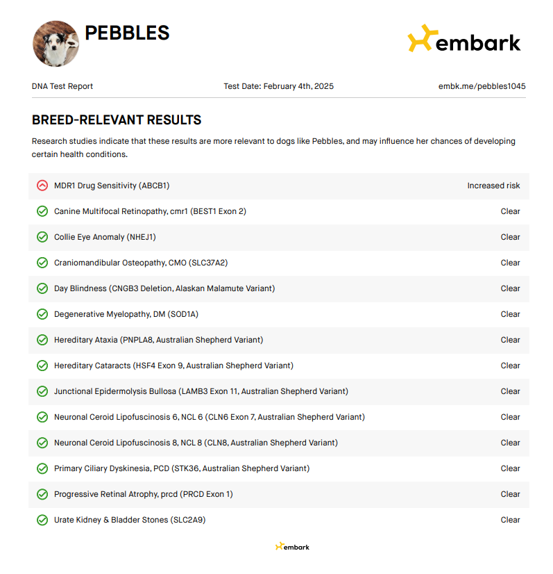 Pebbles's health testing results