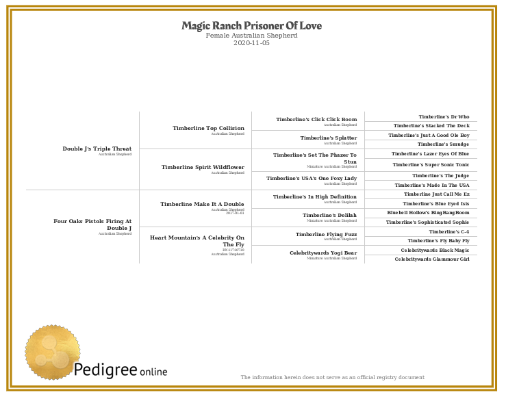 Phoebe's pedigree chart