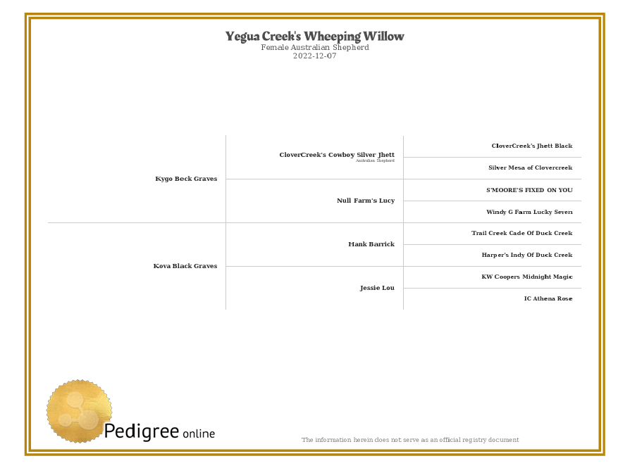 Red Willow's pedigree chart