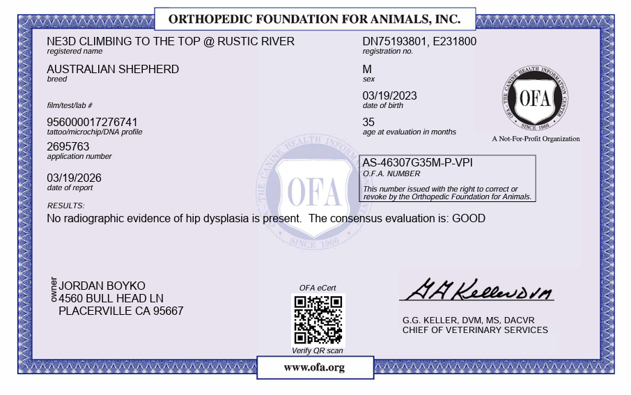 Rocky health testing document 1
