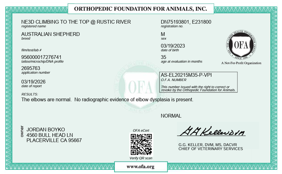 Rocky health testing document 2