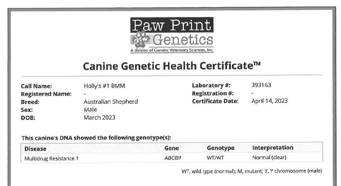 Rocky health testing document 3