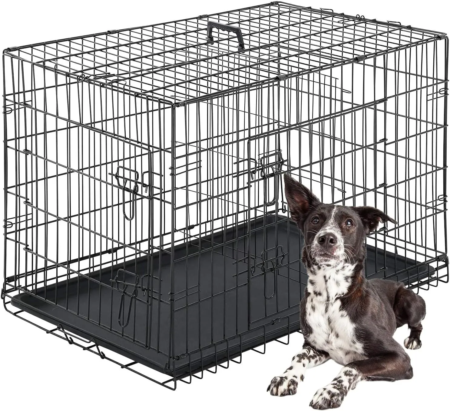 Wire dog kennel recommended for Australian Shepherd puppy crate training