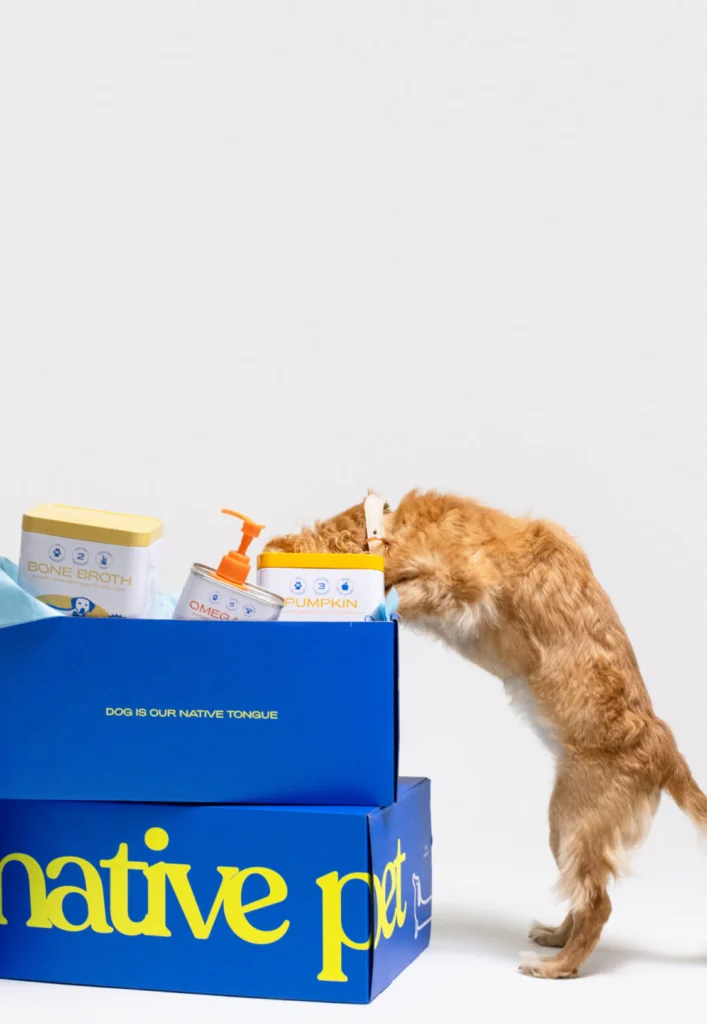 Healthy supplements — Native Pet