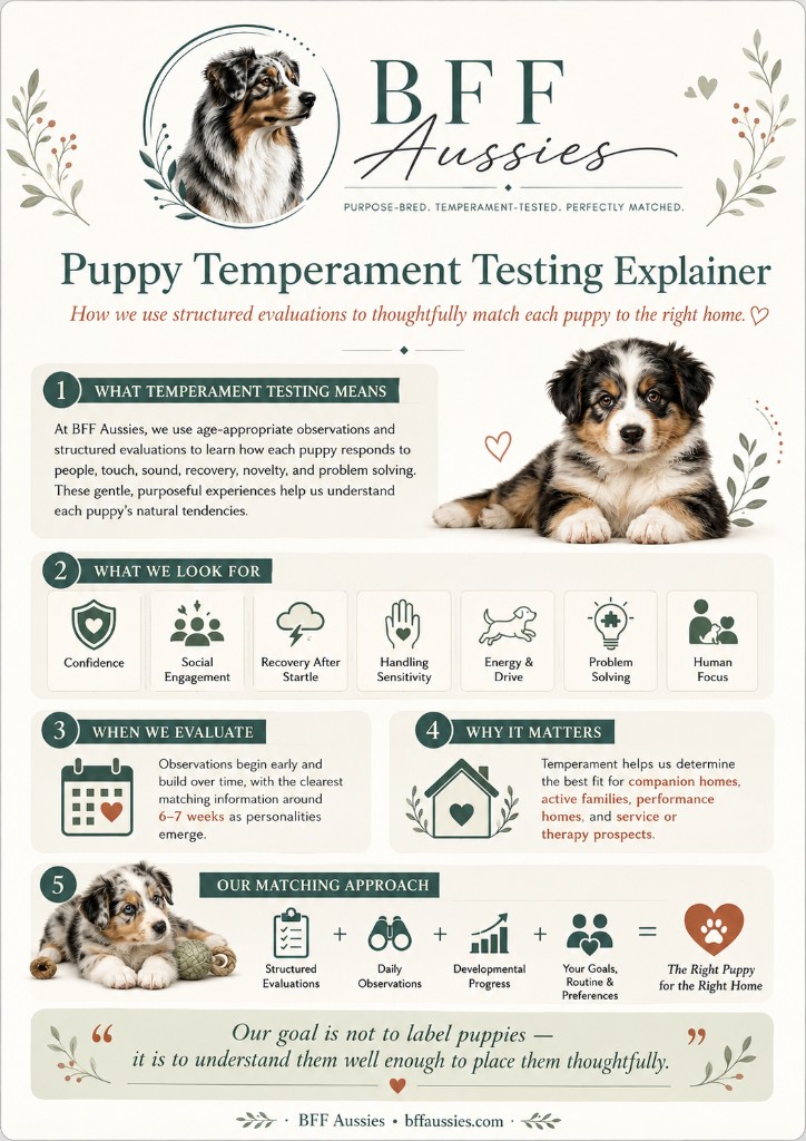 Puppy temperament testing explainer: what it means, what we look for, when we evaluate, why it matters, and our matching approach